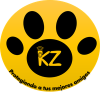 Kazoo Logo